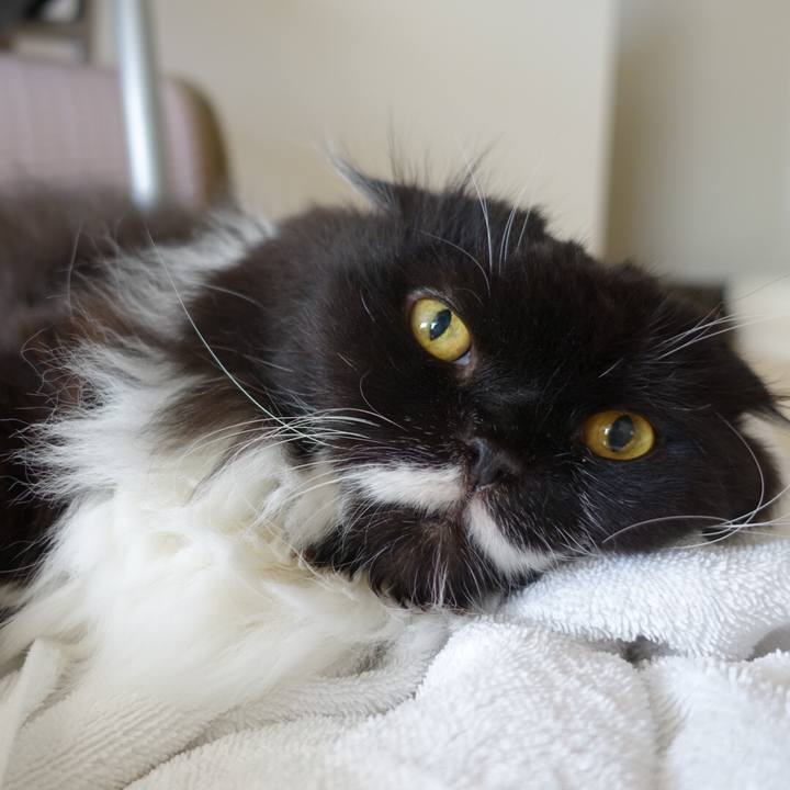 5f0ee200 7e9e 4745 afb3 7d233ecfb3cc