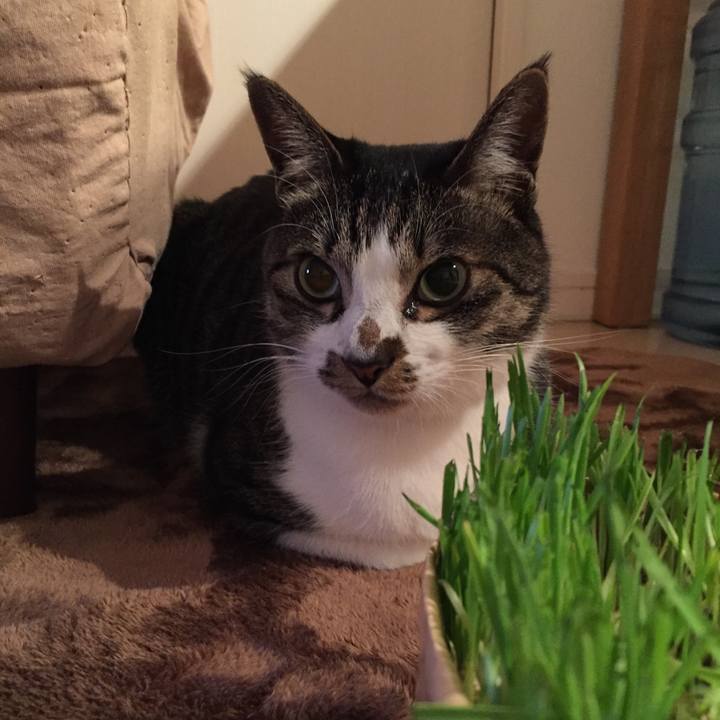 5f0f003b ac98 4cef 91f5 96a7a82739ef