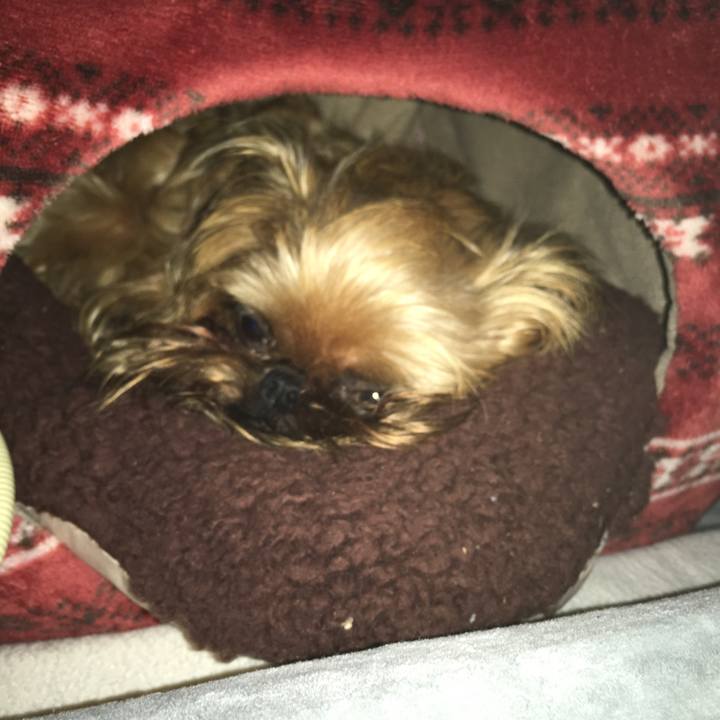 5f0f3a38 d397 4dea a280 feabc49a6a38