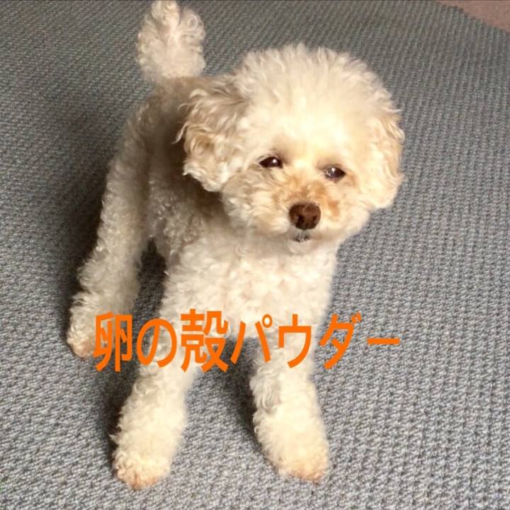 5f0fd521 b95a 46ca baad cdfb28357c92