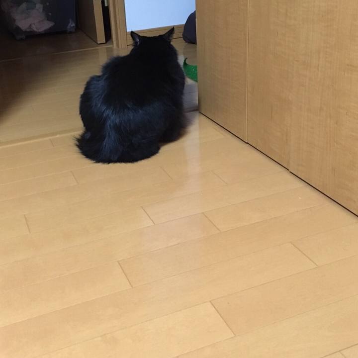 5f104ab7 8d99 45f6 8102 7c880aa660ee