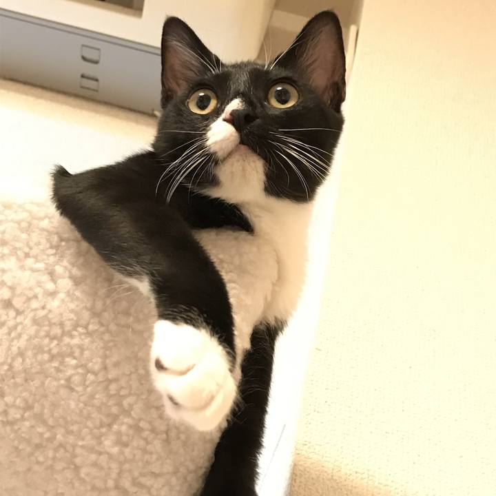 5f107ef2 4889 4169 9a74 84adfd952e35