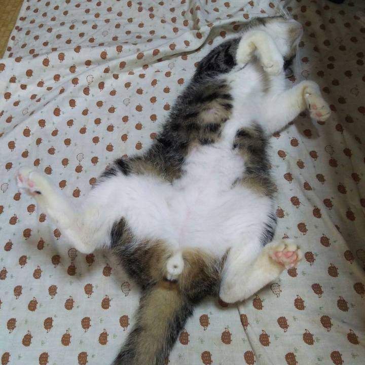 5f108909 40df 4e37 8ea2 72a04c287d01