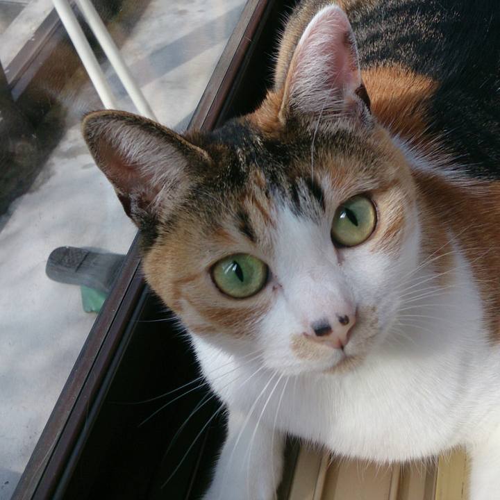 5f11cdc6 5e81 4786 aee6 05bcd26327b1