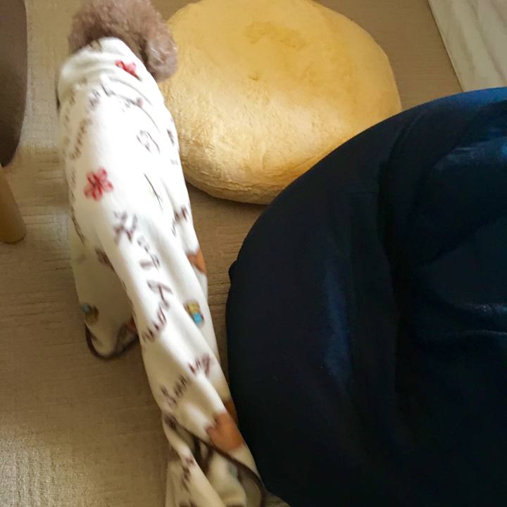 5f124085 90b8 467f 8702 67cd3c82a10d