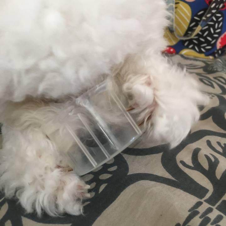 5f12b574 2460 4c15 b3ab 643afaa27eca