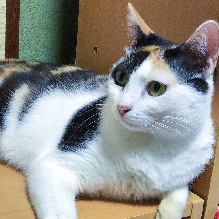 5f12ee15 e551 4d25 a517 c3c9659d19bd