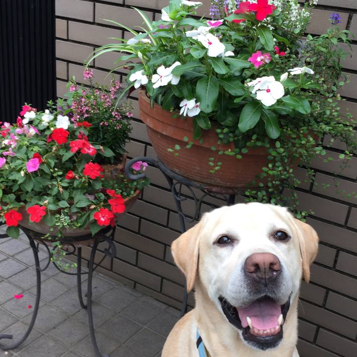 5f142823 15c4 494e 9fc1 1998f874c075