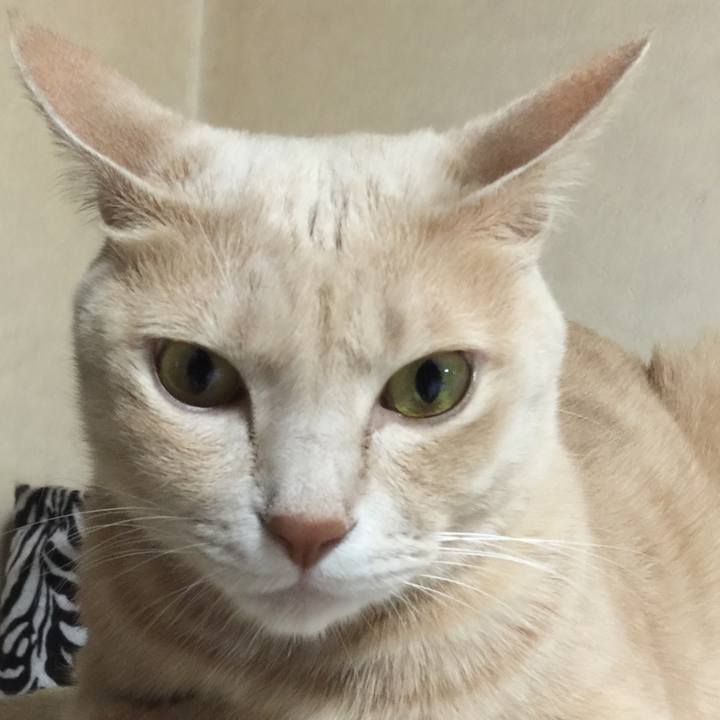 5f150749 8a6a 48d1 9907 4cecfe6201a6