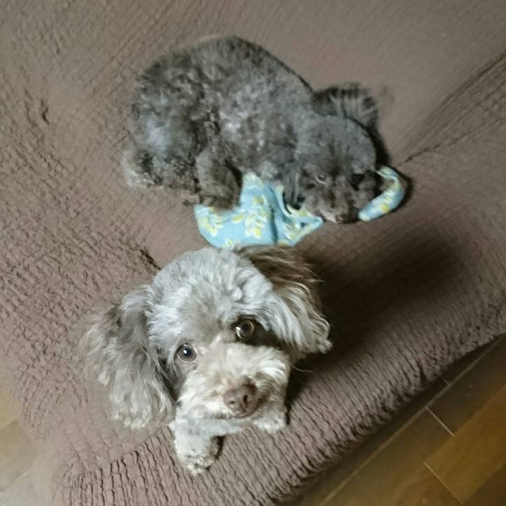 5f162b61 16be 4984 a616 d095d1485499