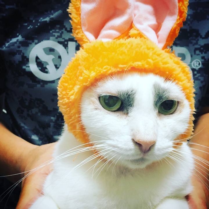 5f163fc5 e138 468c b393 ae6dd3623cc8