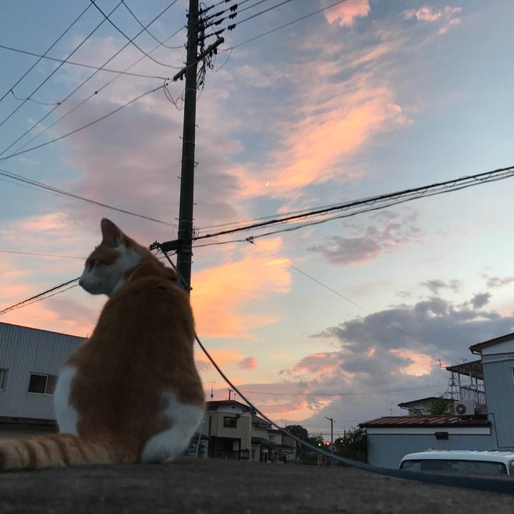 5f182cad b82d 4091 81ff 3ade4f19a766