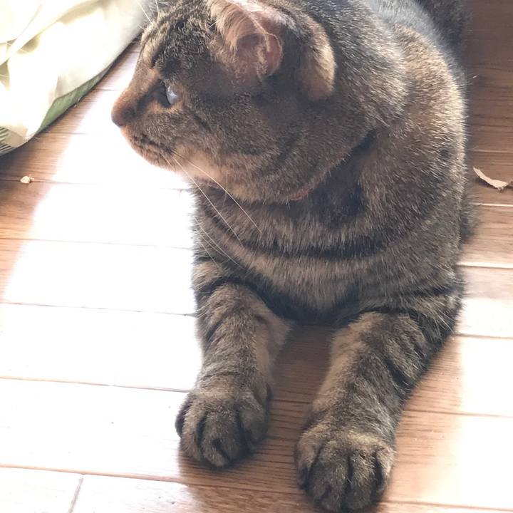 5f187c8e ee73 47a1 a164 5f736294ad82