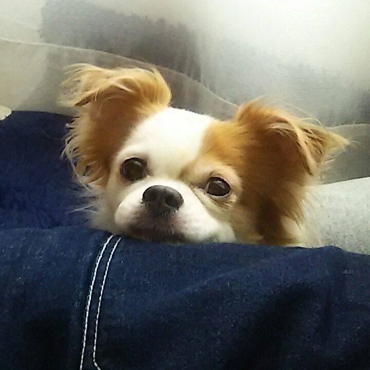 5f197d90 adfa 4a63 9e0f b363cad6ca05