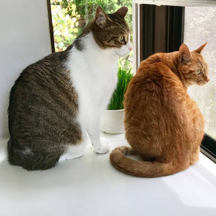 5f1a34a3 b152 4cbc 9849 7fdaeedfaa3e