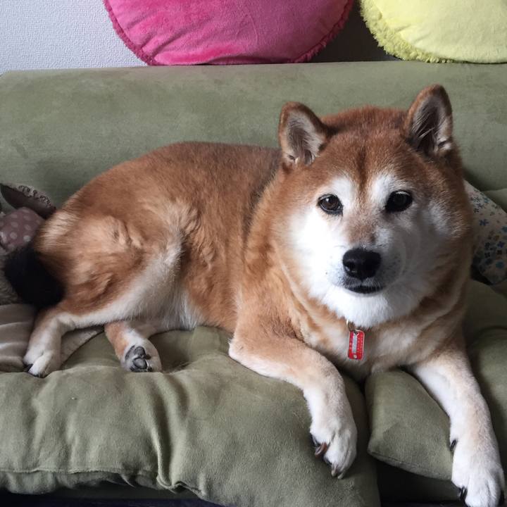 5f1a534a f15a 43b1 af5f 9a24b9dbf2ad