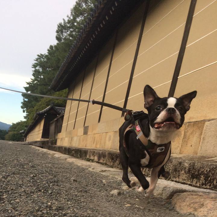 5f1a785b a5d4 4536 9a60 e608647e6dbb