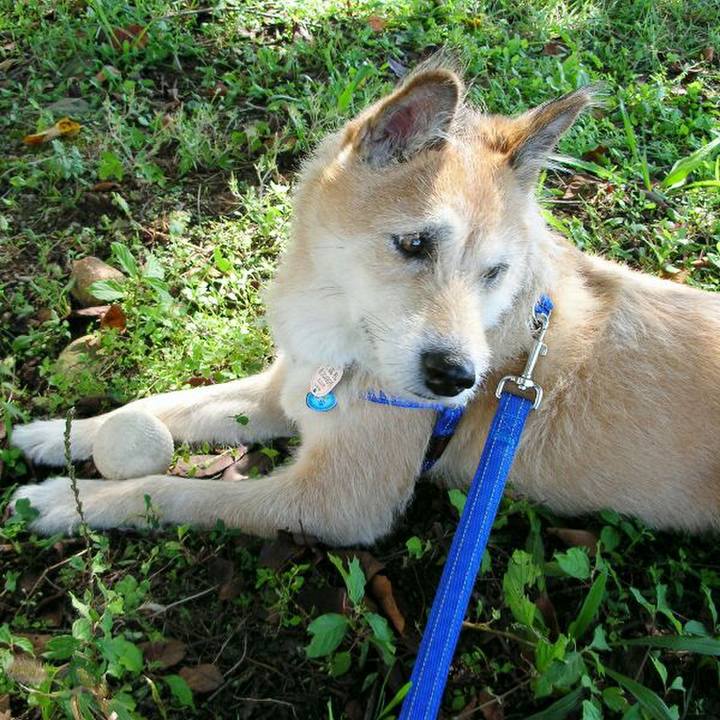 5f1a819b 35e1 4e65 a609 26c0da6ffc46