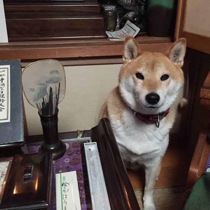 5f1ae749 b684 4119 aecf 61e6cac73146