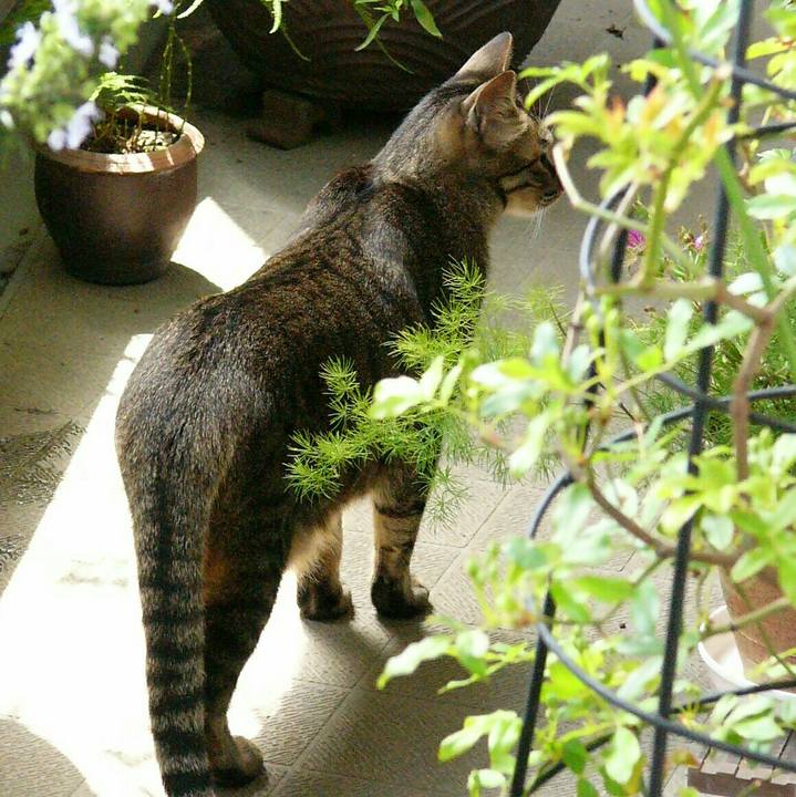 5f1b4458 1744 4c59 b2f8 fe61b651497b