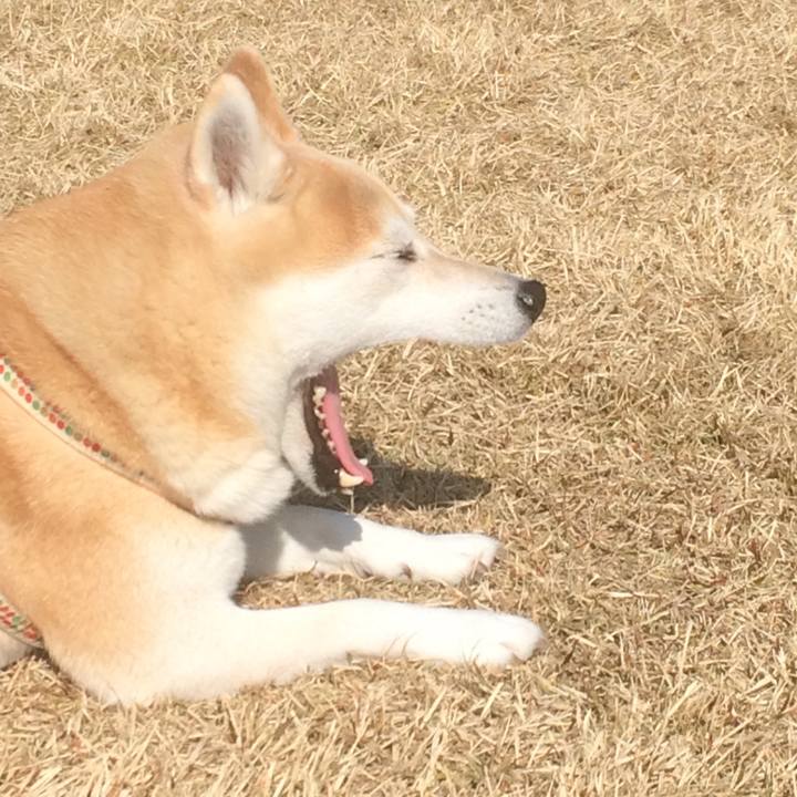 5f1bed76 8941 4bf9 9543 bb1a9773c156