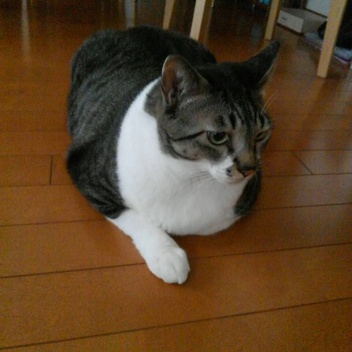 5f1c4d6c edc8 4ea7 9f3d fede8d46ce95