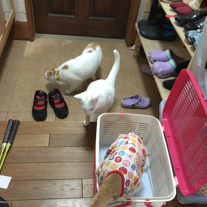 5f1c8288 f901 422a 88d5 eb97b0d019bd