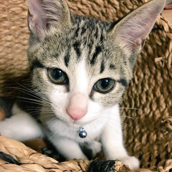 5f1d2fe0 6847 43ae 91e4 8c239ca5d6f9