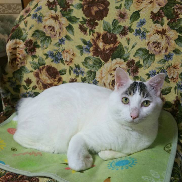 5f1def2e e86c 4fe8 8852 646a0a03670f