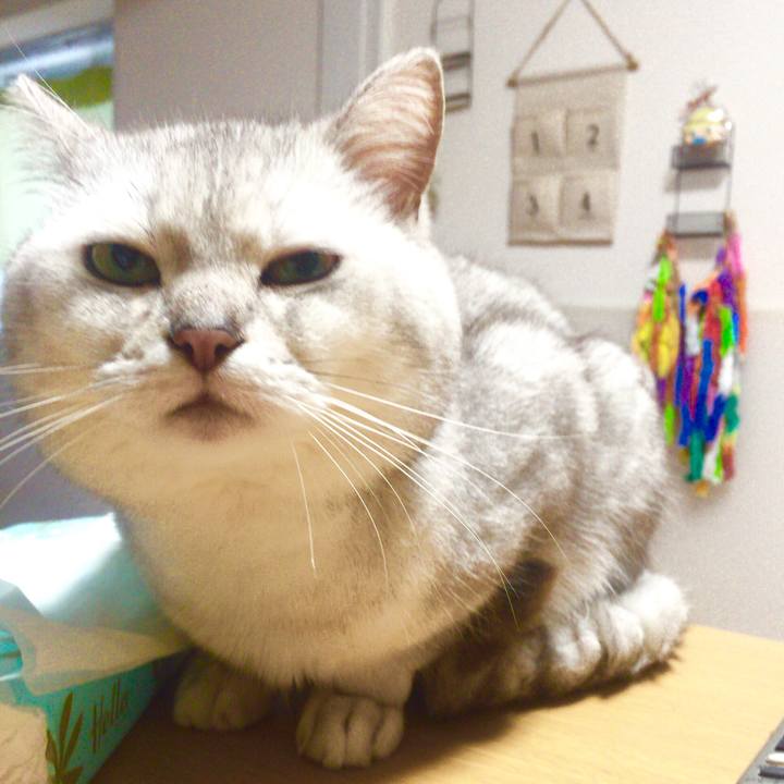 5f1e0038 c963 4d09 a34d 3bba49d00da6