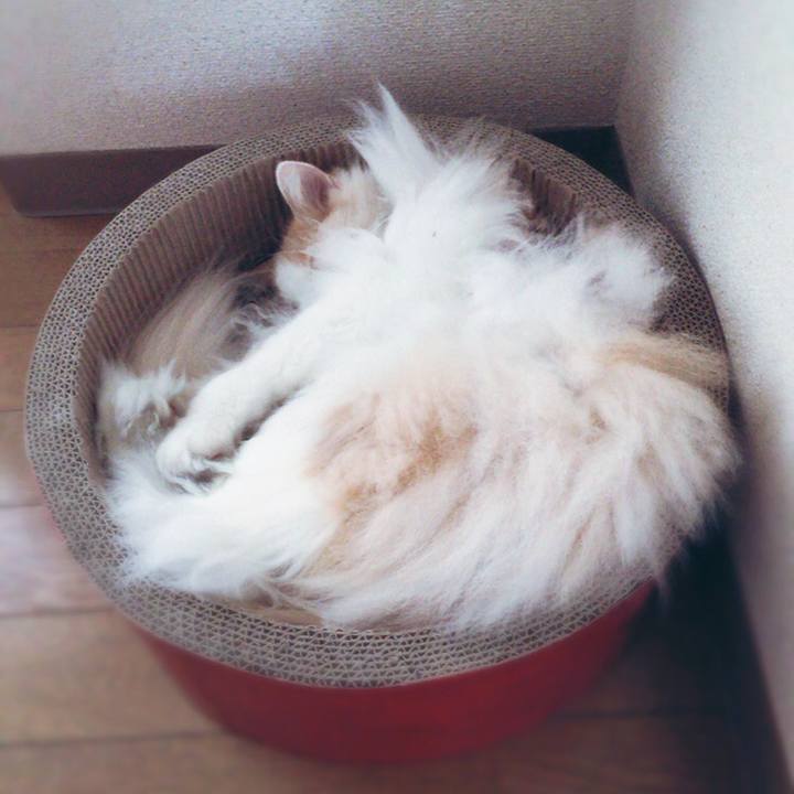 5f1e362c 7e5b 4564 9ad7 bb2671c43027