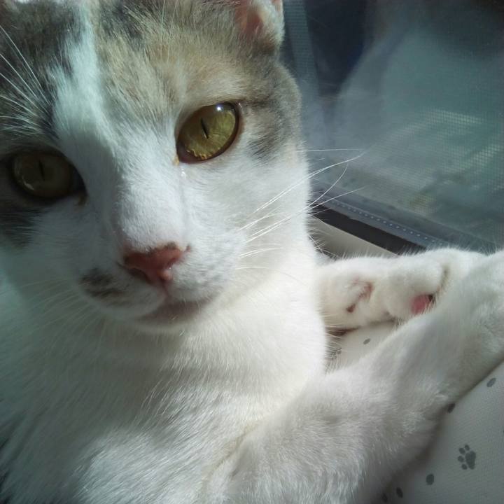 5f1e8349 8208 47db a29b b0e71fdbcb80