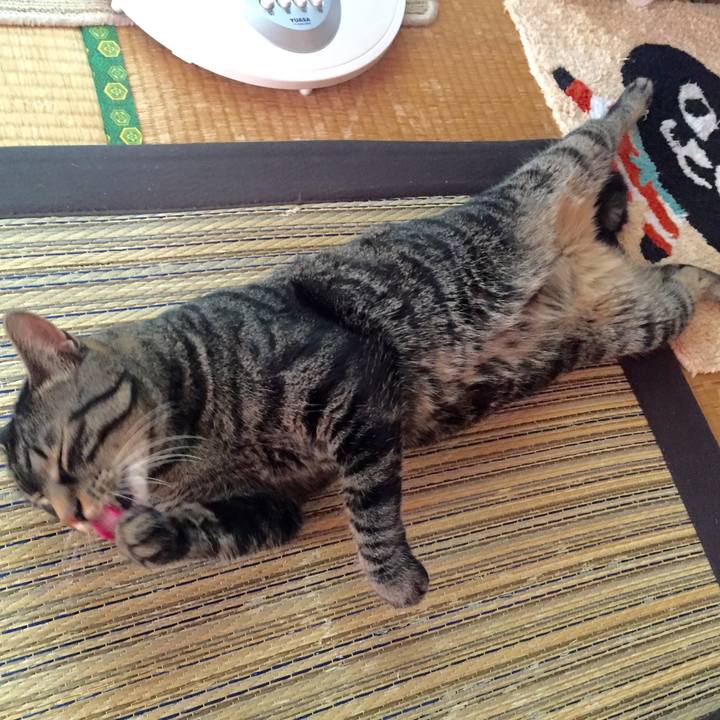 5f1e8641 2c1d 4f2b 86af 407ebd06d5b1