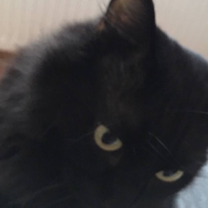 5f1ebfd7 39a4 46b1 8134 1ce53dacd0f4