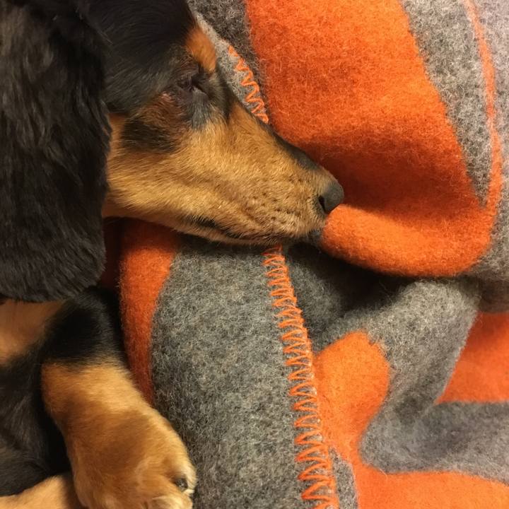 5f1f6cc4 5624 4112 81b6 11c15f33fad3