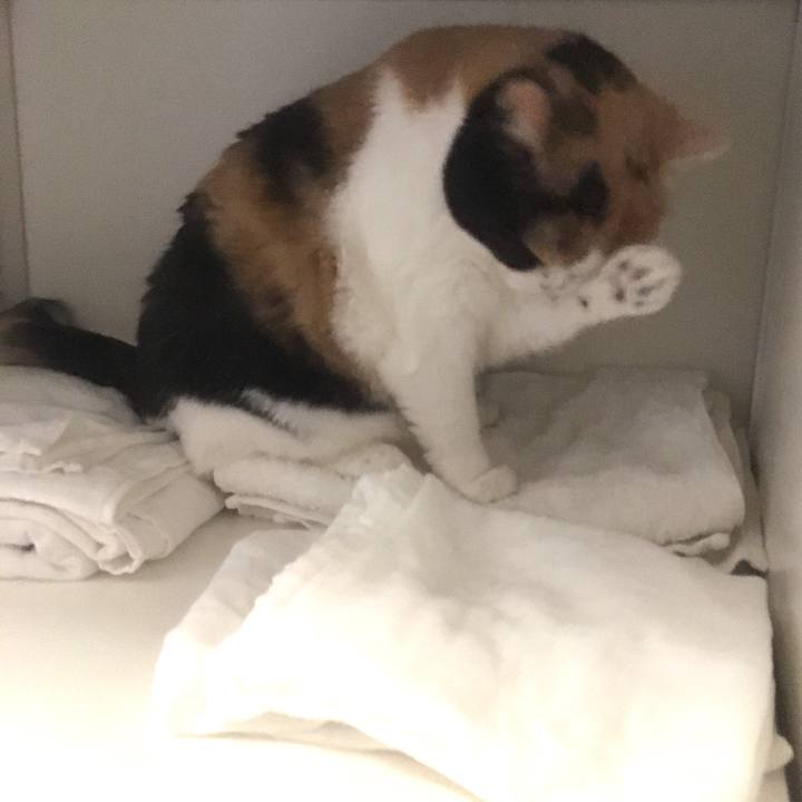 5f1fbbd4 0835 4ca0 89ca 0187ab4c5ef6