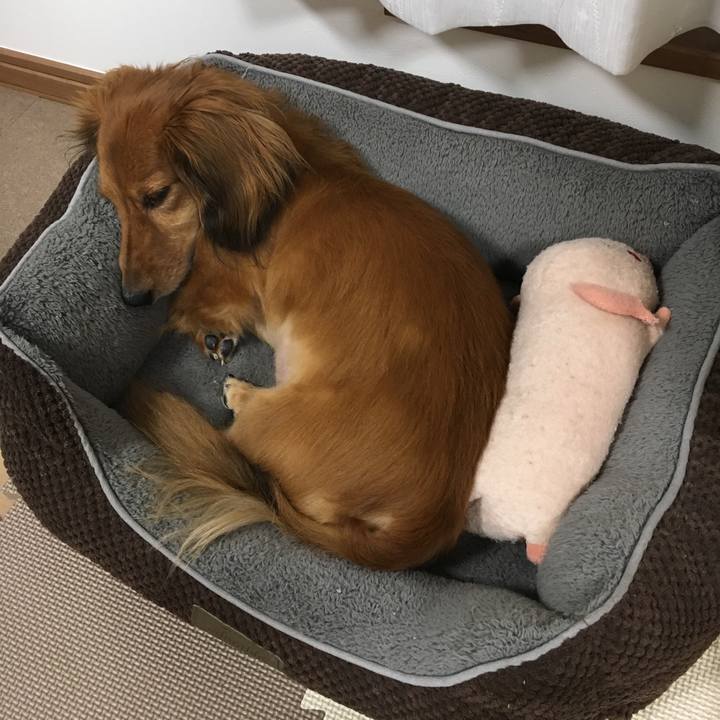 5f20681d cac9 44d1 9797 a4248011504c