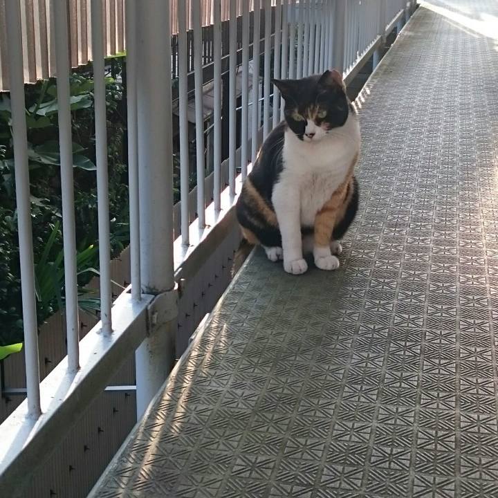 5f2165c3 0457 406c 94e0 211bc020d001