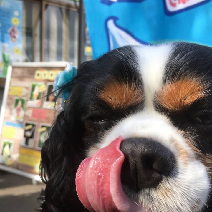 5f21b864 93e8 49d4 a7ca 07197b27871f