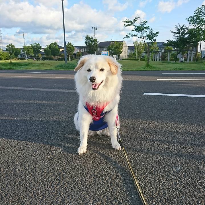 5f21d65a 32ab 4662 8e77 5949ff5da8cf