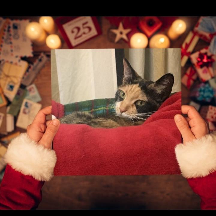 5f225985 c7c6 4866 8798 2d52e00800ed