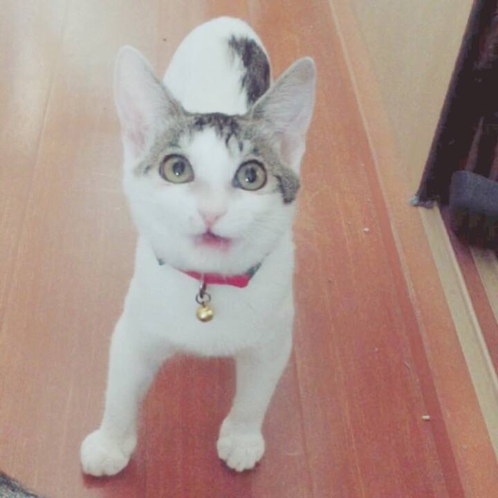 5f226d1e d2e4 4bb9 879a c2b8cfd00529