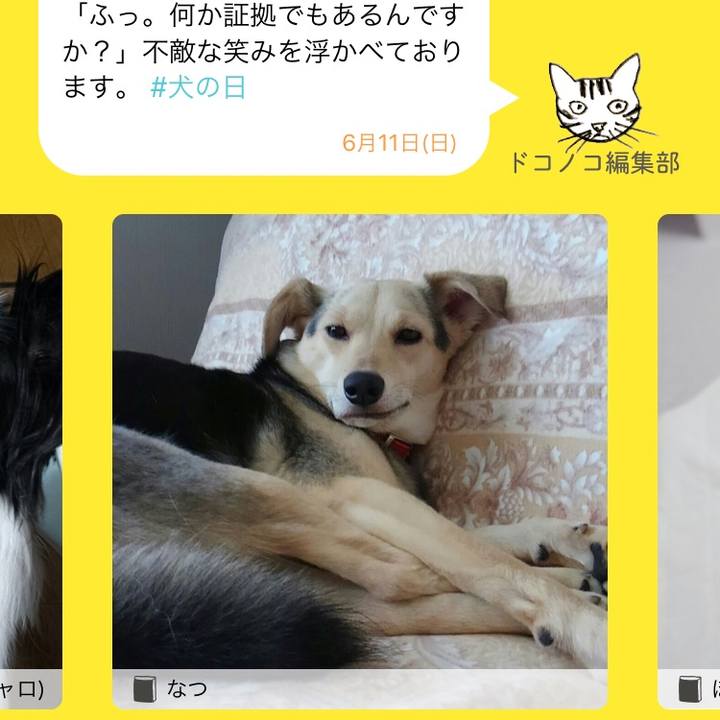 5f22c203 a351 40c5 b0fb 419d8f81592a