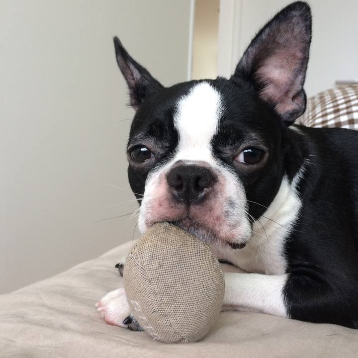 5f22dff4 bba5 4209 ac4e 2687054a2e6d