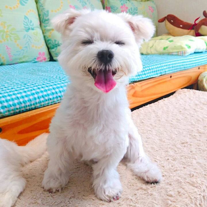 5f24528c 25aa 4736 848f f3bdadee90cc