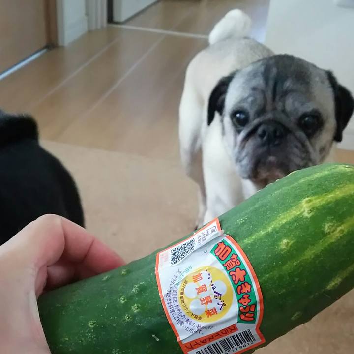 5f24630b 0983 4057 bbcb e850b9cedfe1