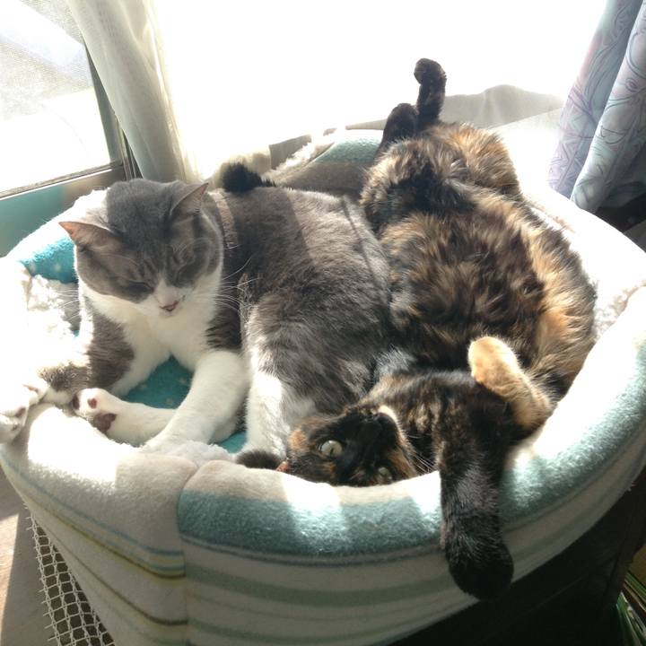 5f247612 1689 4923 b69e f03e8bab2363