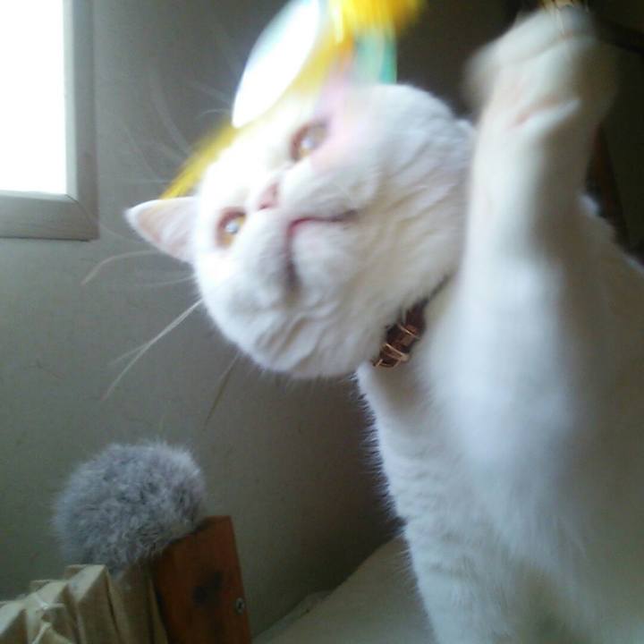 5f2479fb 8c1b 4867 ae25 6c4d3b395588