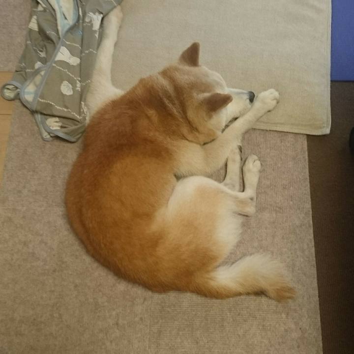 5f248215 091c 4495 a887 31eed50c0e49