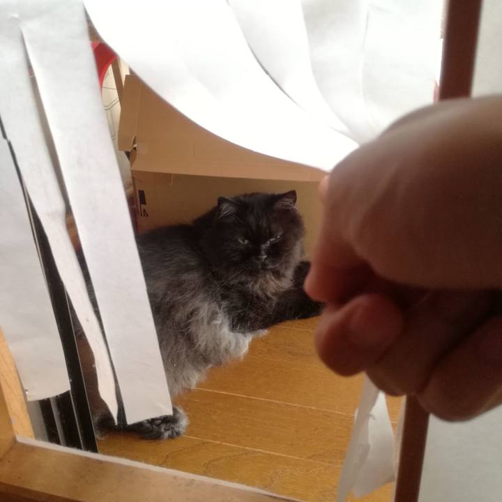 5f24b5d2 d7ab 49eb 880f 98c58f961583